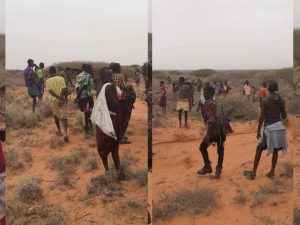 dagaal-ka-dhacay-gobolka-sool-oo-20-qof-ku-dhimatay-iyo-xaalad-ka-taagan-halkaasi