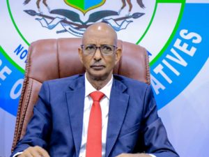 golaha-wakiillada-waqooyi-bari-oo-ku-baaqay-in-maxkamad-la-horkeeno-maxaabiista-somaliland