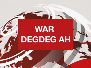 war-deg-deg-ah:-mucaaradka-sweden-oo-ku-guuleestay-doorashada,-codadka-oo-la-dhameestiray