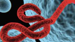 ebola:-maxaa-kasoo-kordhay-bukaankii-dhowaan-lagu-karantiilay-muqdisho?